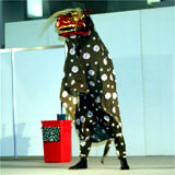 三萬亭油単獅子舞の画像